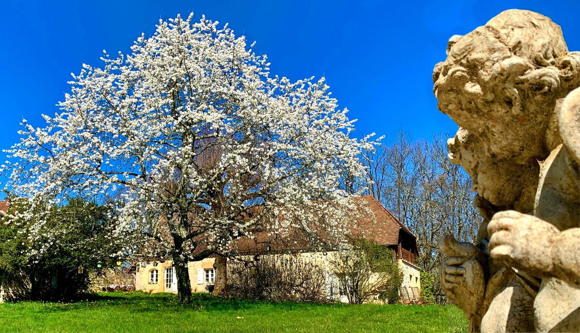 Gites Sibemol Simeyrols Buitenkant foto